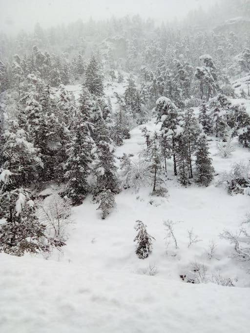 Studio Au Coeur De Valberg A Proximite Des Pistes Ngoại thất bức ảnh